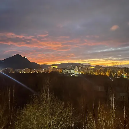 公寓式酒店 Mosie *